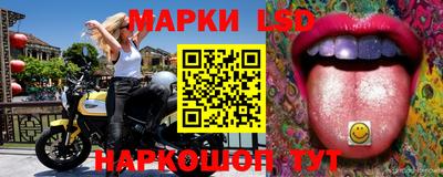a pvp Камышлов