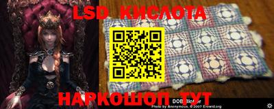 спиды Канаш