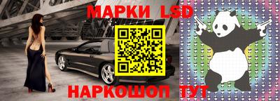 a pvp Камышлов