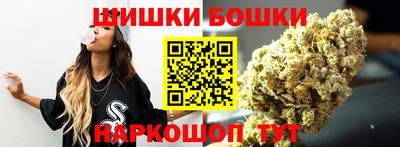 a pvp Камышлов