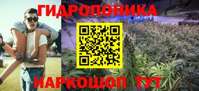 спиды Канаш