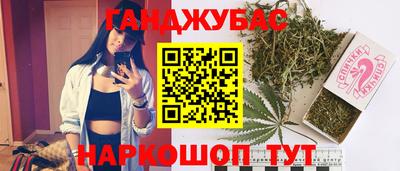 a pvp Камышлов