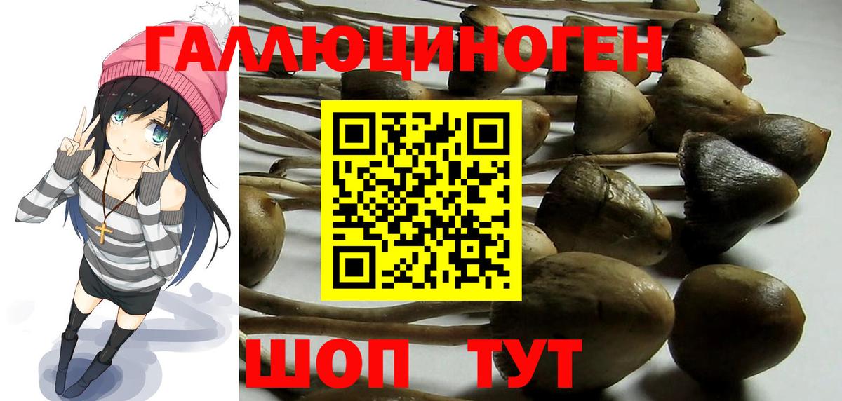Галлюциногенные грибы Magic Shrooms  Вход с VPN  Кинешма 